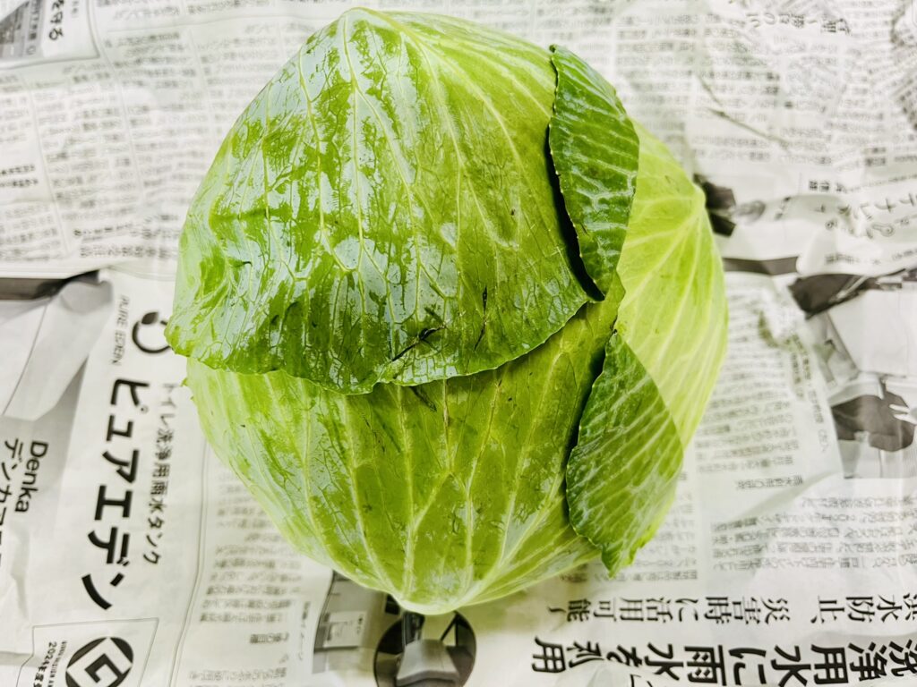 キャベツまるごと