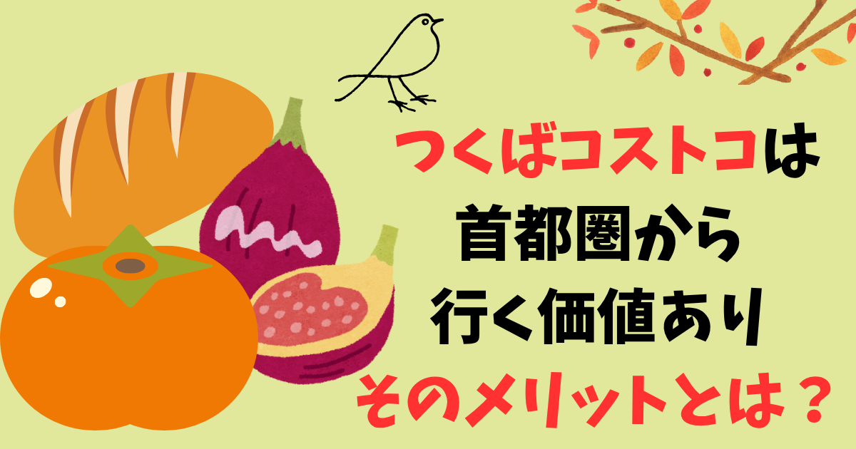 つくばコストコは首都圏からアクセス良し！混雑状況やガソリン価格も報告