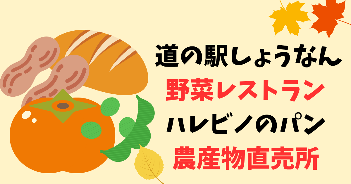 柏市【道の駅しょうなん】レストラン・パン屋・直売所レビュー！混雑を避けるコツもお伝え