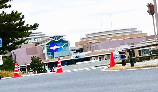 人気の水族館アクアワールド大洗