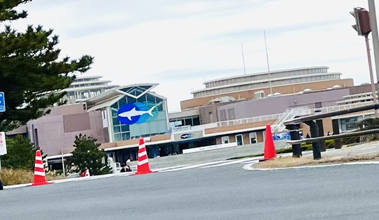 人気の水族館アクアワールド大洗
