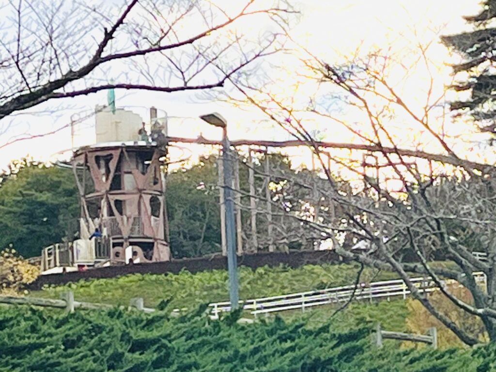 笠間芸術の森公園の日本一長い滑り台 大人も子供も楽しめる人気な遊具