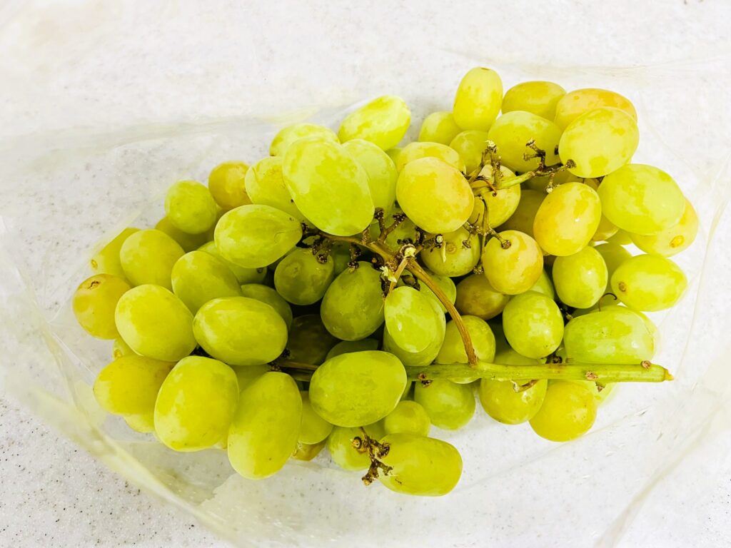 コストコのコットンキャンディーグレープ。外観。マスカットに似たグリーン系のぶどう。
